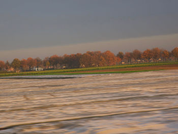 Scenic view of trees on field against sky