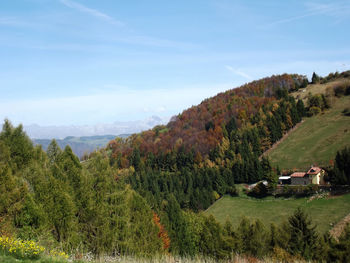 Scenic view of trees and houses against sky