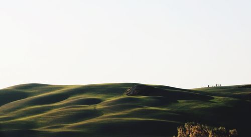 Scenic view of landscape against clear sky