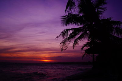 Silhouette palm tree by sea against sky at sunset