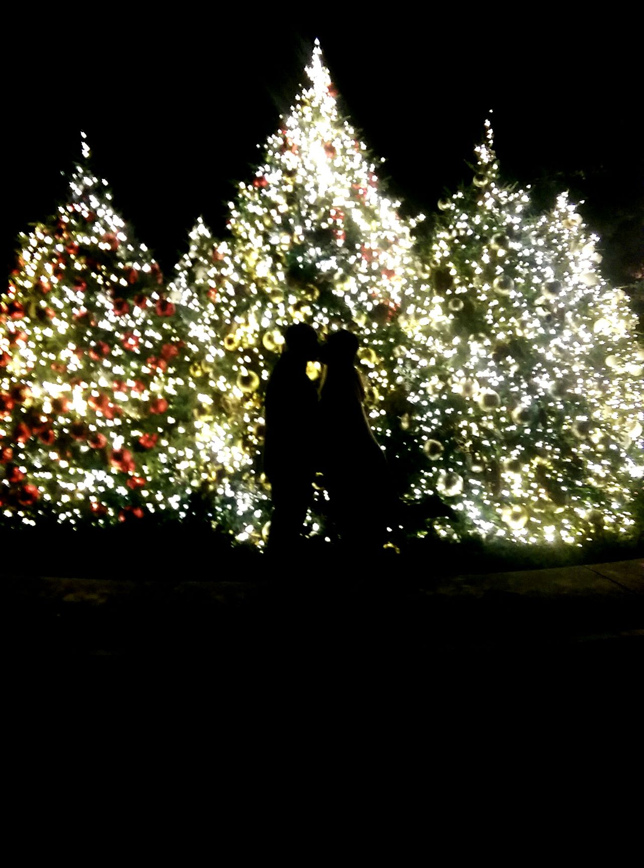 Kiss by the tree
