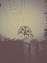 Low angle view of power lines