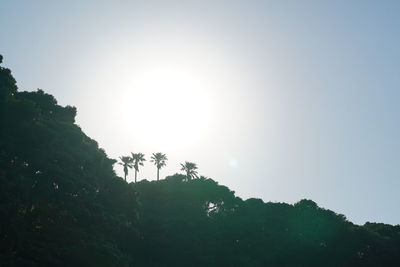 Low angle view of trees against clear sky