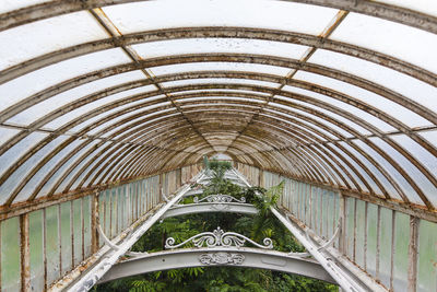 Ceiling of a greenhouse