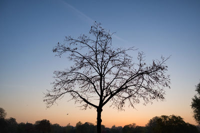 Silhouette bare tree against clear sky during sunset