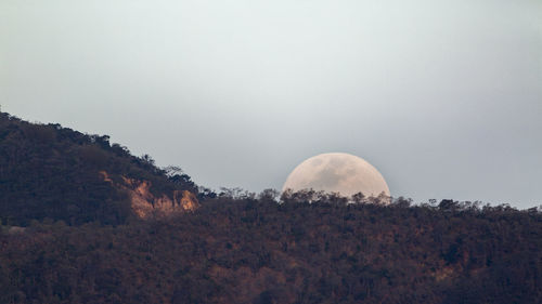 Scenic view of landscape against clear sky