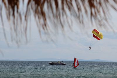 Windsurfing in the calm ocean