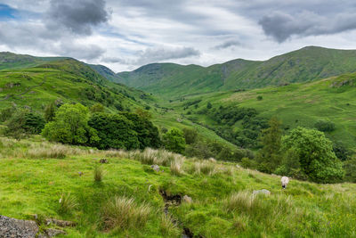 Scenic view of landscape against cloudy sky