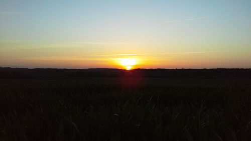 Scenic view of field against sky at sunset