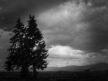 Trees against cloudy sky seen through window glass