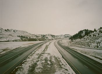 Road along trees