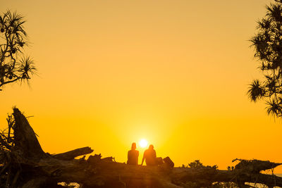 Silhouette people by trees against orange sky
