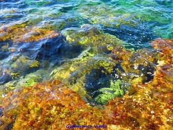 Full frame shot of multi colored water