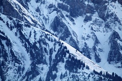 Scenic view of snowcapped mountain