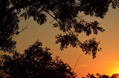 Low angle view of silhouette trees against sky at sunset