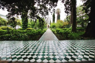 View of footpath in park