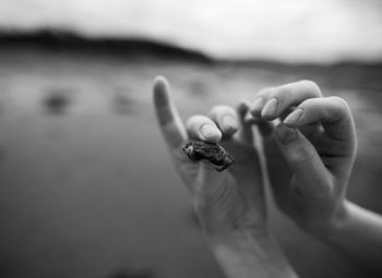 Child holding small crab at the beach