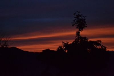 Silhouette trees against dramatic sky at sunset