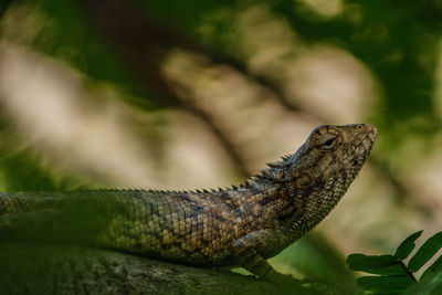 Relaxing in the shade.