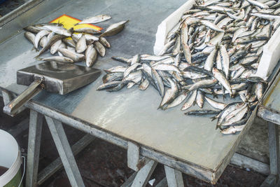 High angle view of fish for sale in market