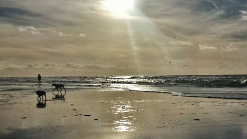 Scenic view of sea during sunset