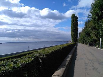 Scenic view of grass and trees against sky