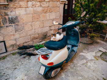 Toy car in front of wall