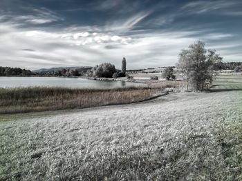 Scenic view of field against sky