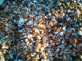 Full frame shot of pebbles on beach