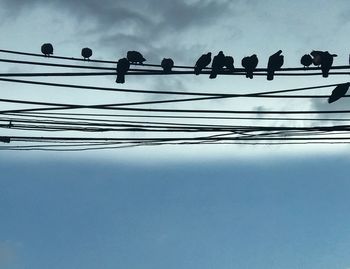 Low angle view of birds on cable against sky