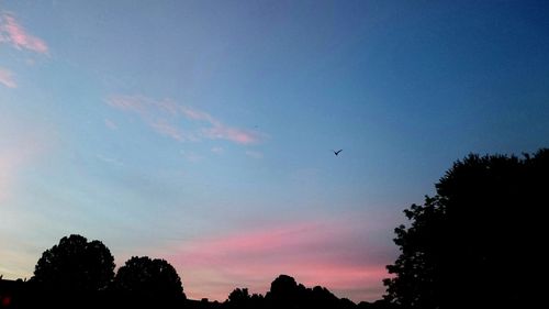 Low angle view of silhouette trees against sky