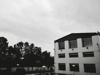 Trees in city against sky