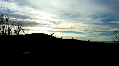 Silhouette trees against sky during sunset
