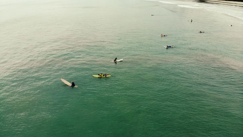 High angle view of birds swimming in sea