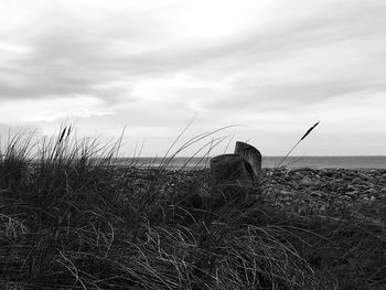 Windmills on field against sky