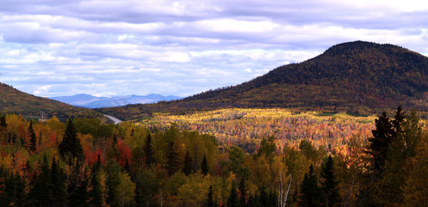 View of trees on landscape against cloudy sky