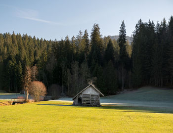 View of hut on field against trees