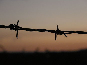 View of barbed wire