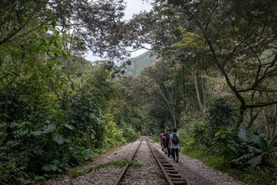 Rear view of people walking by railroad track amidst trees
