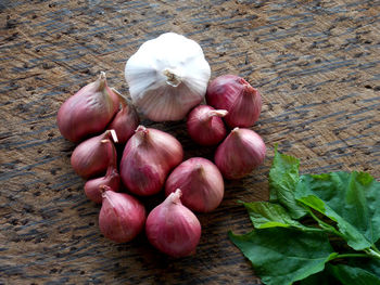 High angle view of eggs on table
