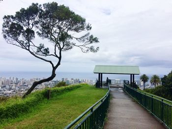 Footpath by trees against sky in city