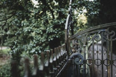 Metal gate against trees