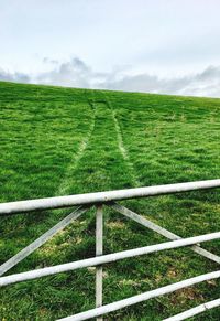 Scenic view of field against sky