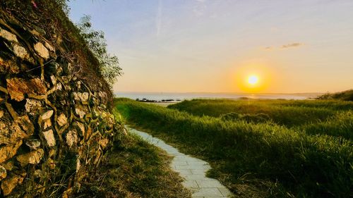 Scenic view of field against sky during sunset