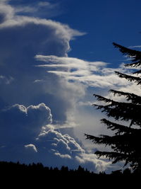 Low angle view of silhouette blue sky