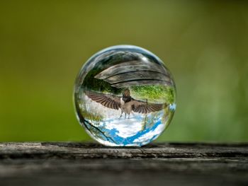 Close-up of crystal ball on glass