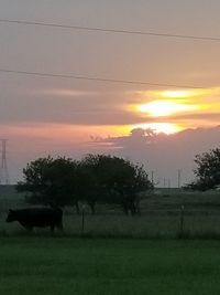 Scenic view of field against sky during sunset