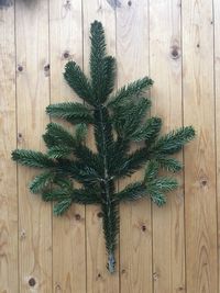 High angle view of christmas tree on table