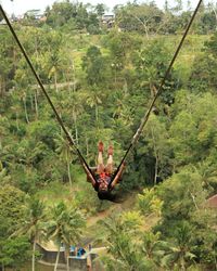 High angle view of woman swinging over trees in forest