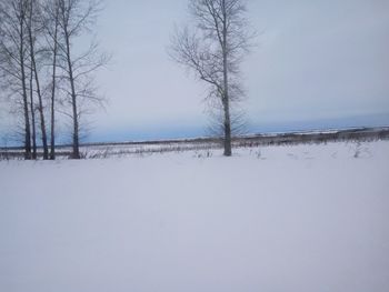 Bare trees on snow field against clear sky